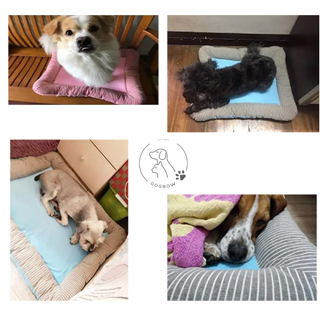 Kühlende Haustiermatte für Hunde und Katzen - CoolPaws