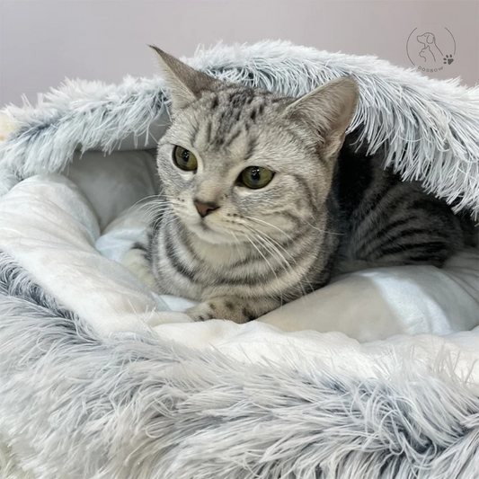 Gemütliche Tierhöhle - CozyCove