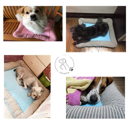Kühlende Haustiermatte für Hunde und Katzen - CoolPaws